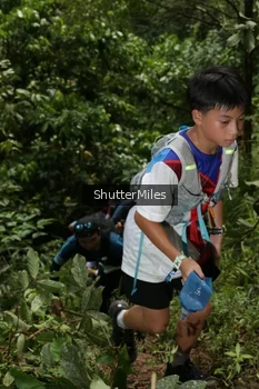 Runner Photo 95149