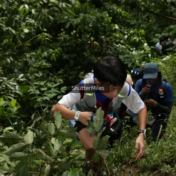 Runner Photo 95161