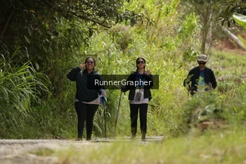 Runner Photo 95195