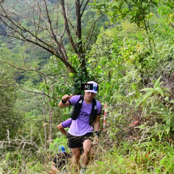 Runner Photo 95246