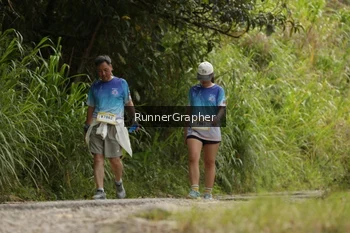 Runner Photo 95252