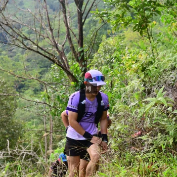 Runner Photo 95259