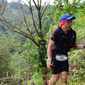 Runner Photo 95288