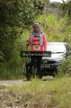 Runner Photo 95305