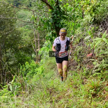 Runner Photo 95324