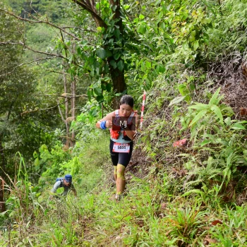 Runner Photo 95364