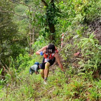 Runner Photo 95368