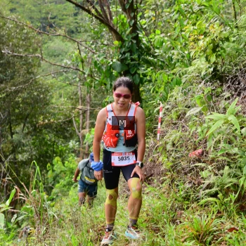 Runner Photo 95377
