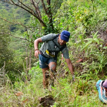 Runner Photo 95398