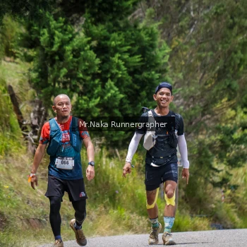 Runner Photo 95404