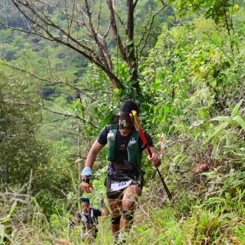 Runner Photo 95425