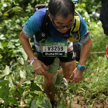 Runner Photo 95433