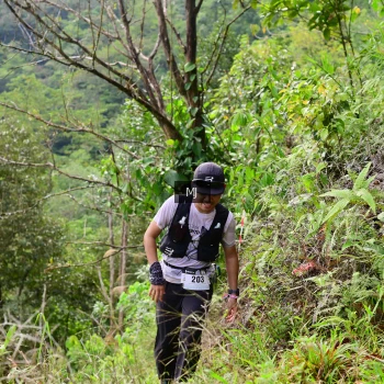 Runner Photo 95467