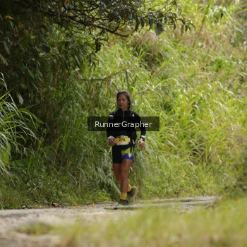Runner Photo 95535
