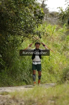 Runner Photo 95560