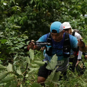 Runner Photo 95760
