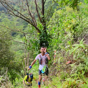 Runner Photo 96852