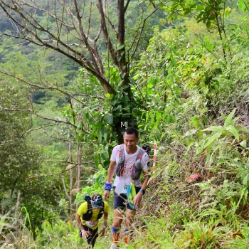 Runner Photo 96856