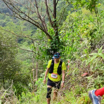 Runner Photo 96861