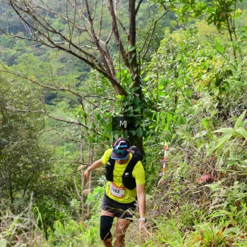 Runner Photo 96863