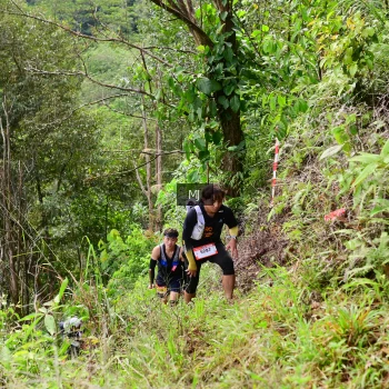 Runner Photo 96881