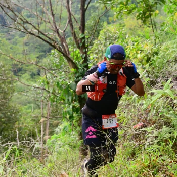 Runner Photo 96980
