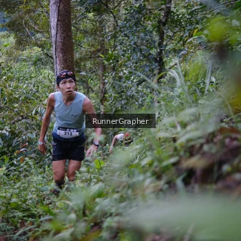 Runner Photo 97048