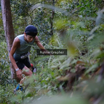 Runner Photo 97049
