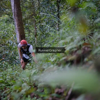 Runner Photo 97056