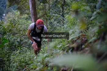Runner Photo 97059