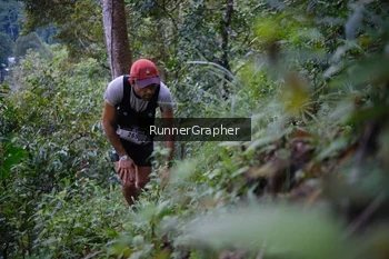 Runner Photo 97061