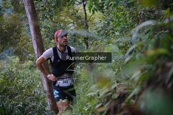 Runner Photo 97063