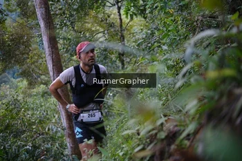 Runner Photo 97066