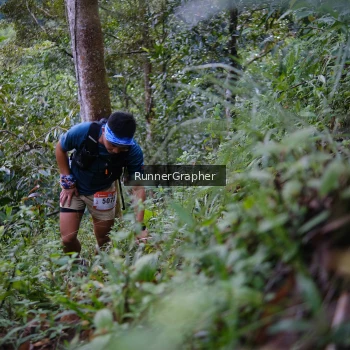 Runner Photo 97086