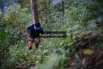 Runner Photo 97089