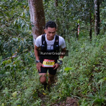 Runner Photo 97132