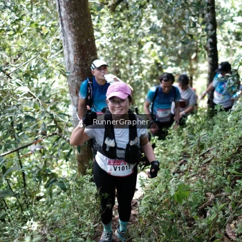Runner Photo 97134