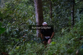 Runner Photo 97179