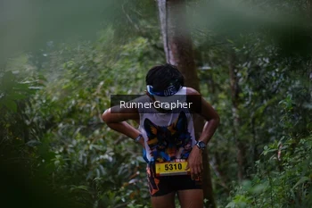 Runner Photo 97210