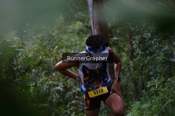 Runner Photo 97213