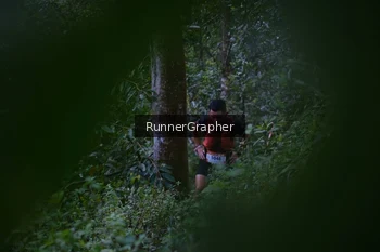 Runner Photo 97224