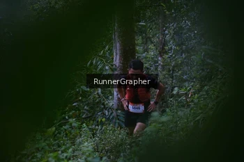 Runner Photo 97230