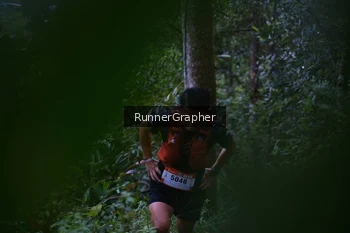 Runner Photo 97235