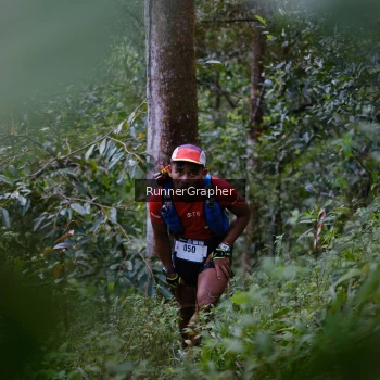 Runner Photo 97251