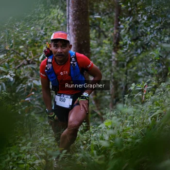 Runner Photo 97258