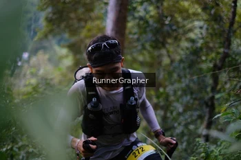 Runner Photo 97347