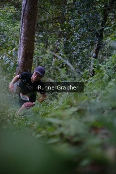 Runner Photo 97358