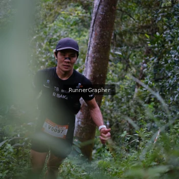 Runner Photo 97359