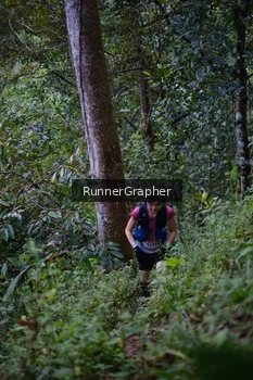 Runner Photo 97382