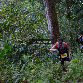 Runner Photo 97423